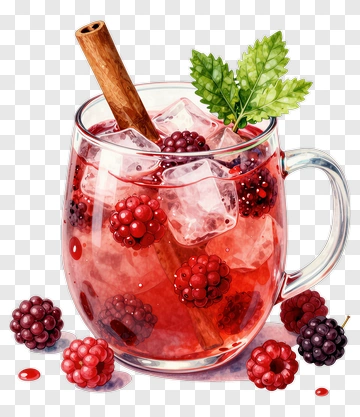 Blackberry Drink With Cinnamon And Mint PNG