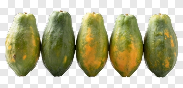 Five Papayas In A Row PNG