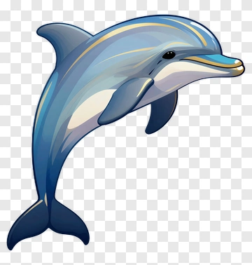 Dolphin PNG