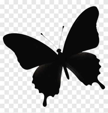 Black Butterfly PNG