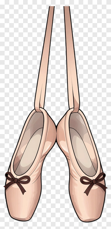 Ballet Shoes PNG