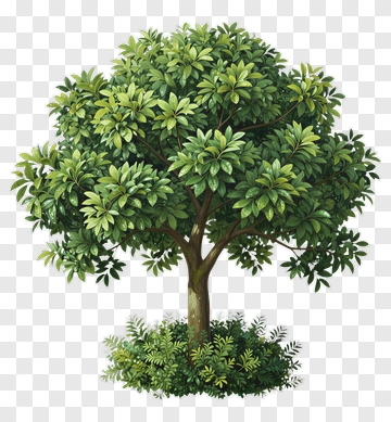 Lush Tree With Foliage And Bushes PNG