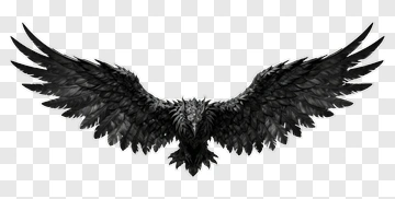 Black Owl With Spread Wings PNG