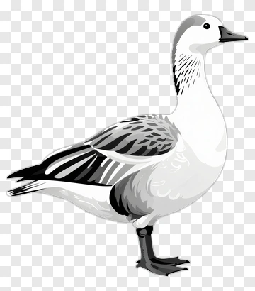 Goose PNG