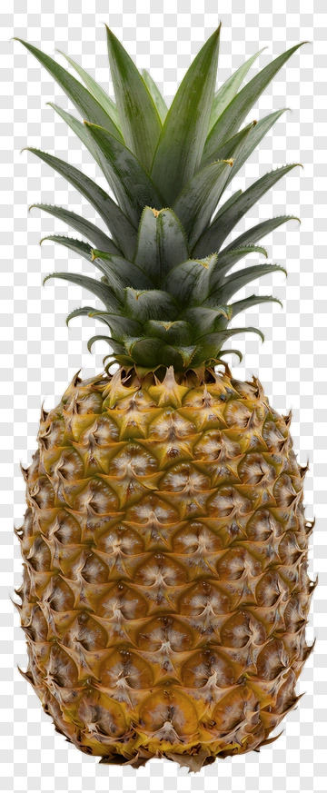 Pineapple PNG
