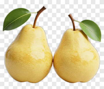 Two Yellow Pears With Leaves PNG