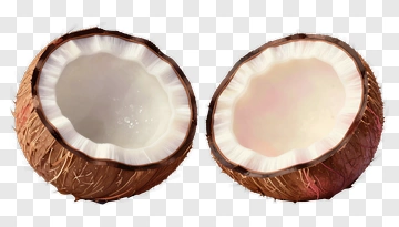 Split Coconut PNG