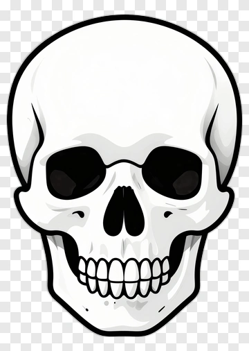 Cartoon Skull PNG