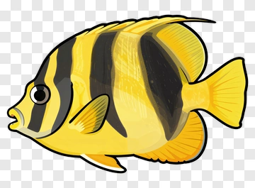 Butterflyfish PNG