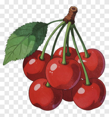 Cluster Of Red Cherries With Green Leaf PNG