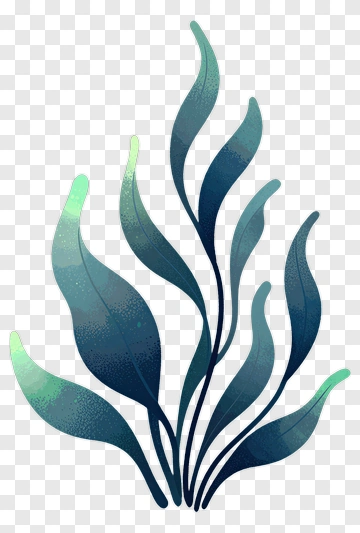 Seaweed Illustration PNG