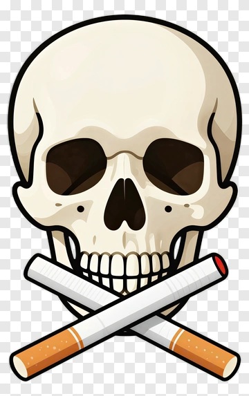 Skull And Cigarettes PNG