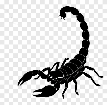 Black Scorpion Silhouette PNG