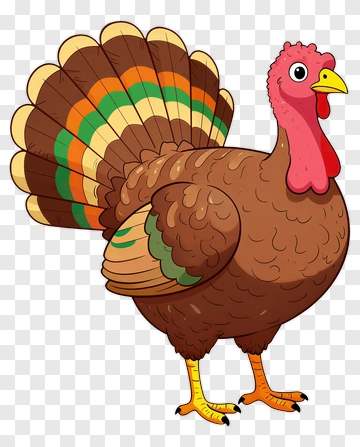 Cartoon Turkey PNG