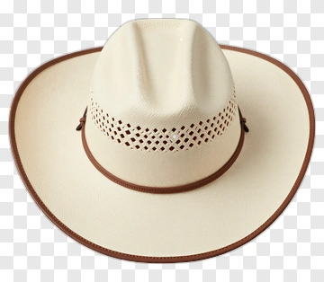 Classic Straw Cowboy Hat With Brown Trim PNG