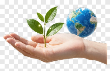 Hand Holding Young Plant With Earth PNG