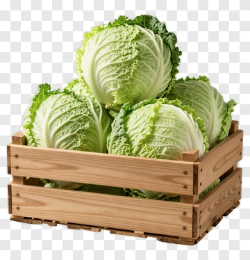 Fresh Cabbage In Wooden Crate PNG