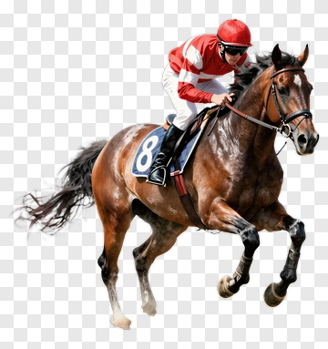 Jockey Riding Racehorse PNG