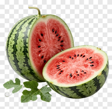 Fresh Watermelon Slices PNG