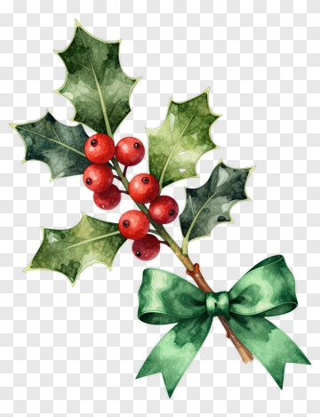 Holly Berry With Green Ribbon PNG