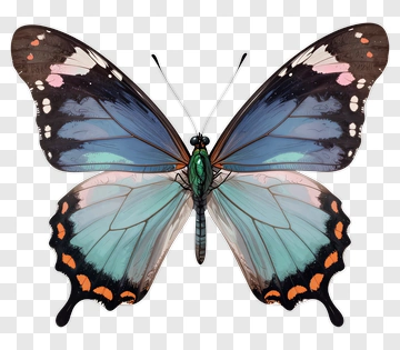 Butterfly With Blue And Green Wings PNG