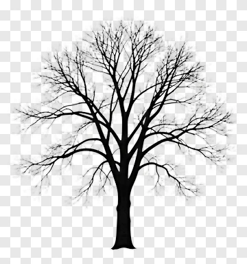 Bare Tree Silhouette PNG