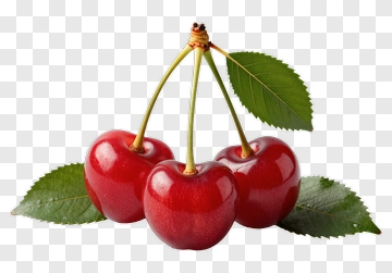 Three Cherries With Leaves PNG