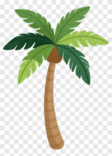 Palm Tree PNG