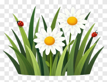 Daisies And Ladybugs In Grass PNG
