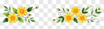 Yellow Flowers With Green Leaves PNG