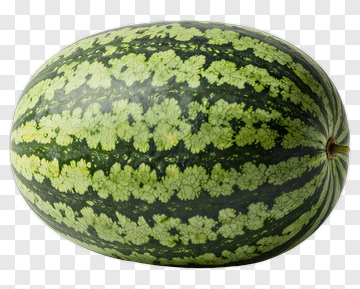 Watermelon With Green And Black Stripes PNG
