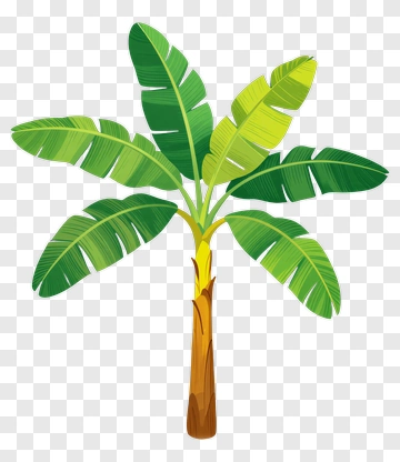 Banana Tree PNG