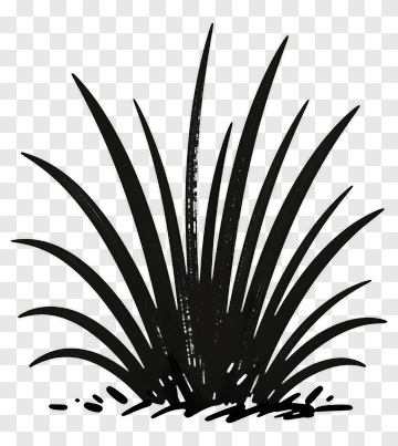 Black Hand Drawn Plant PNG