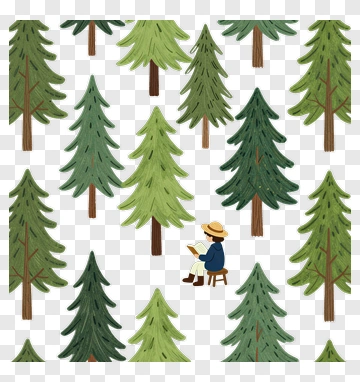 Person Reading Book In Forest PNG