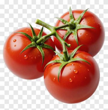 Fresh Red Tomatoes With Green Stems PNG