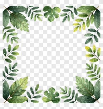 Watercolor Leaf Border PNG