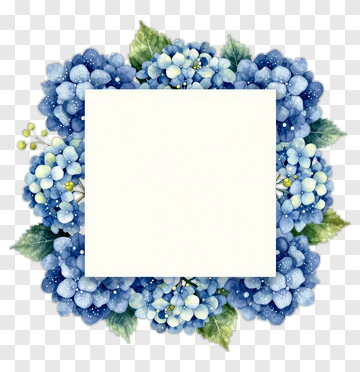 Blue Hydrangea Floral Frame PNG