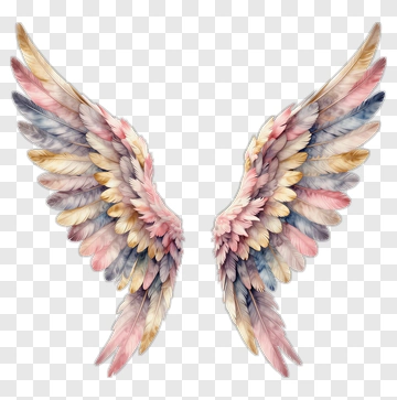 Pastel Angel Wings PNG
