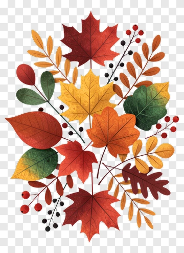 Autumn Leaves Composition PNG