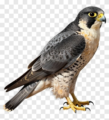 Peregrine Falcon In Realistic 3D Render PNG