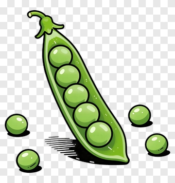 Green Pea Pod With Peas PNG