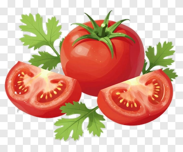 Sliced Tomato With Cilantro PNG