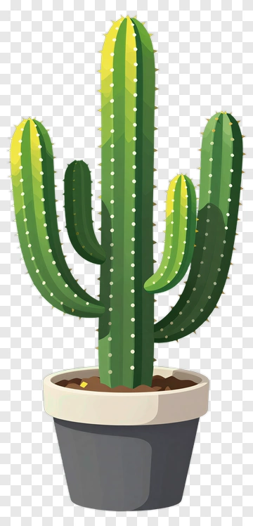 Potted Cactus Plant PNG