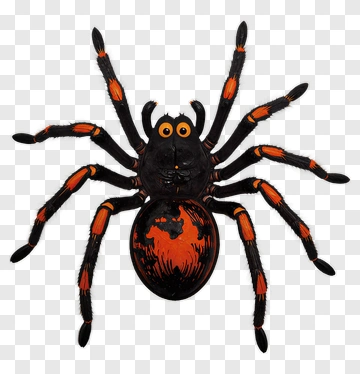 Black And Orange Spider PNG
