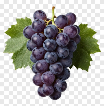 Cluster Of Purple Grapes With Green Leaves PNG