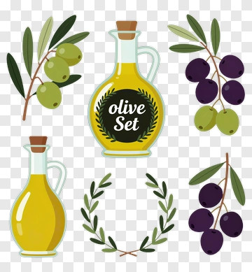 Olive Oil And Olive Branch Set PNG