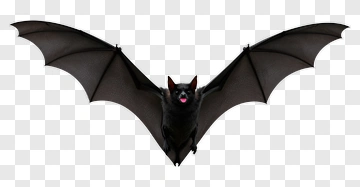 Cartoon Bat Flying PNG