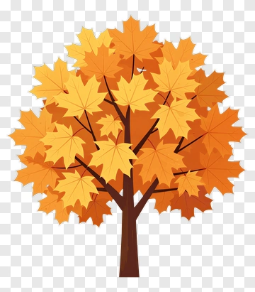 Autumn Maple Tree With Vibrant Leaves PNG
