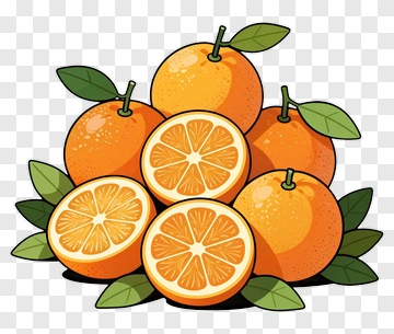 Cartoon Oranges With Leaves PNG