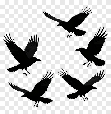 Black Crow Silhouettes PNG